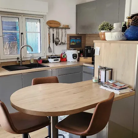 House With Garden Near The *