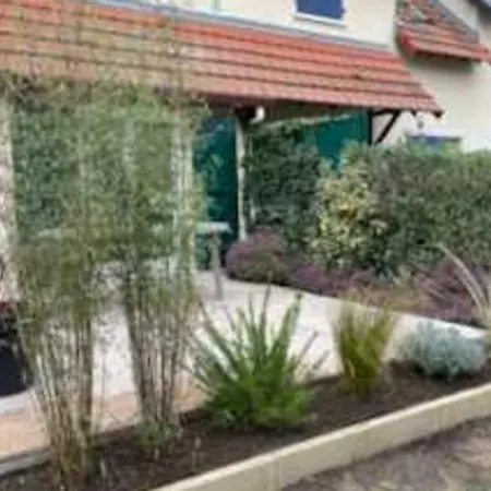 House With Garden Near The *