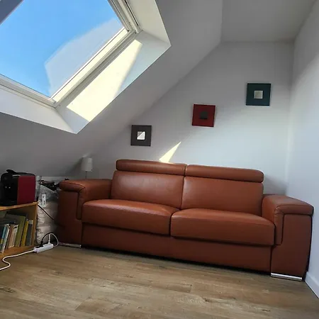 House With Garden Near The *